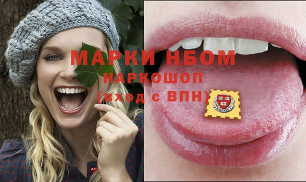 СК Новозыбков