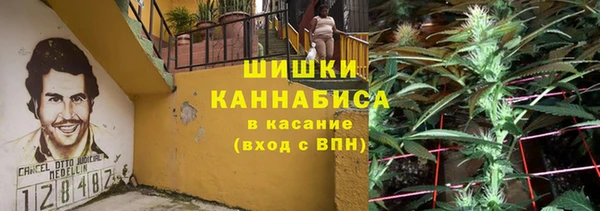 соль ск Алзамай