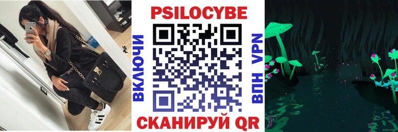 Псилоцибиновые грибы прущие грибы  mega рабочий сайт  нарко площадка какой сайт  Чапаевск 